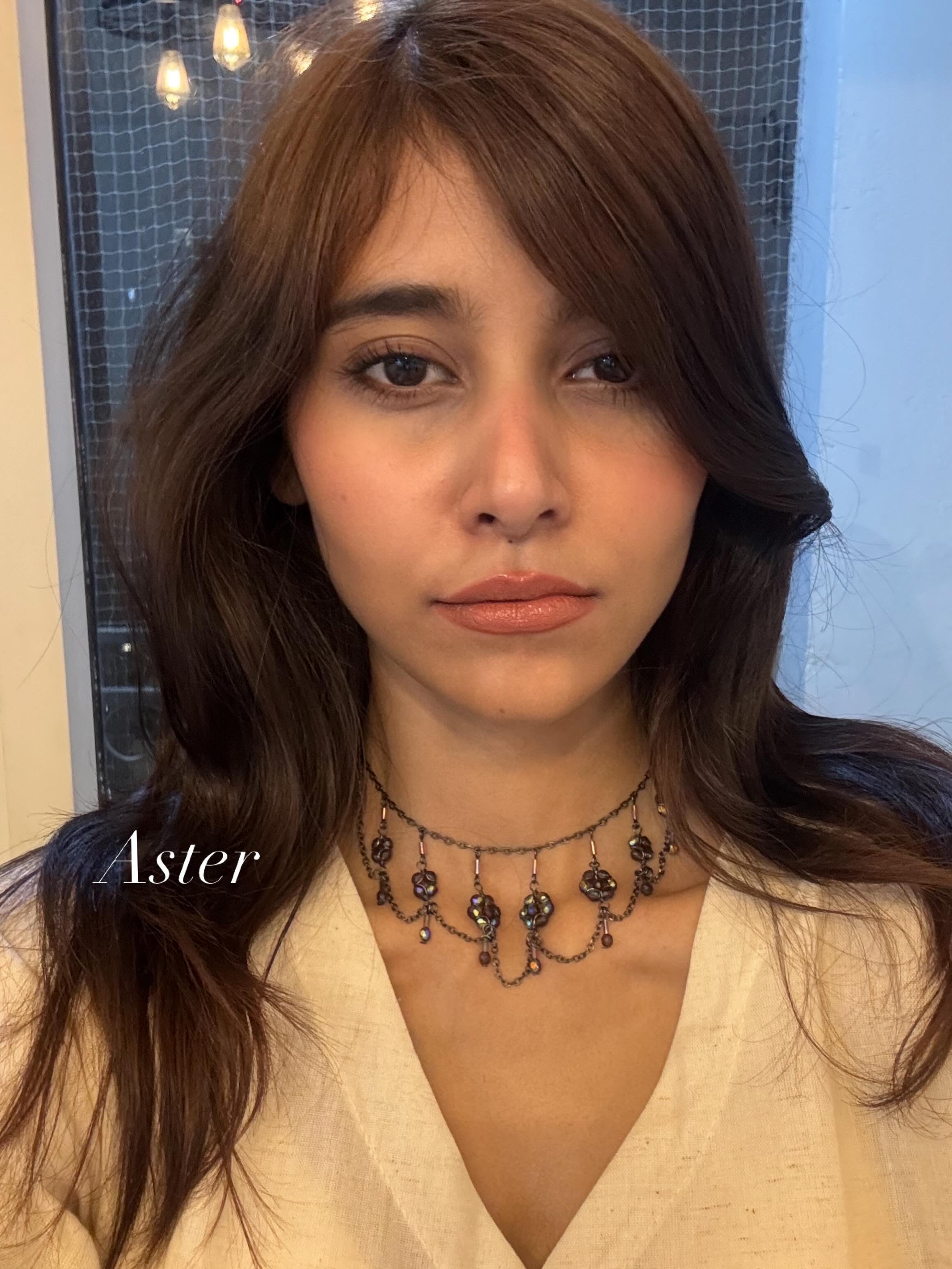 Aster vintage necklace (purple)